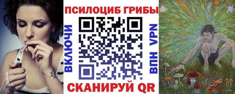 ОМГ ОМГ маркетплейс  купить  сайты  Навашино  Галлюциногенные грибы GOLDEN TEACHER 